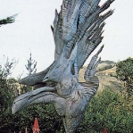 Phoenix Bird